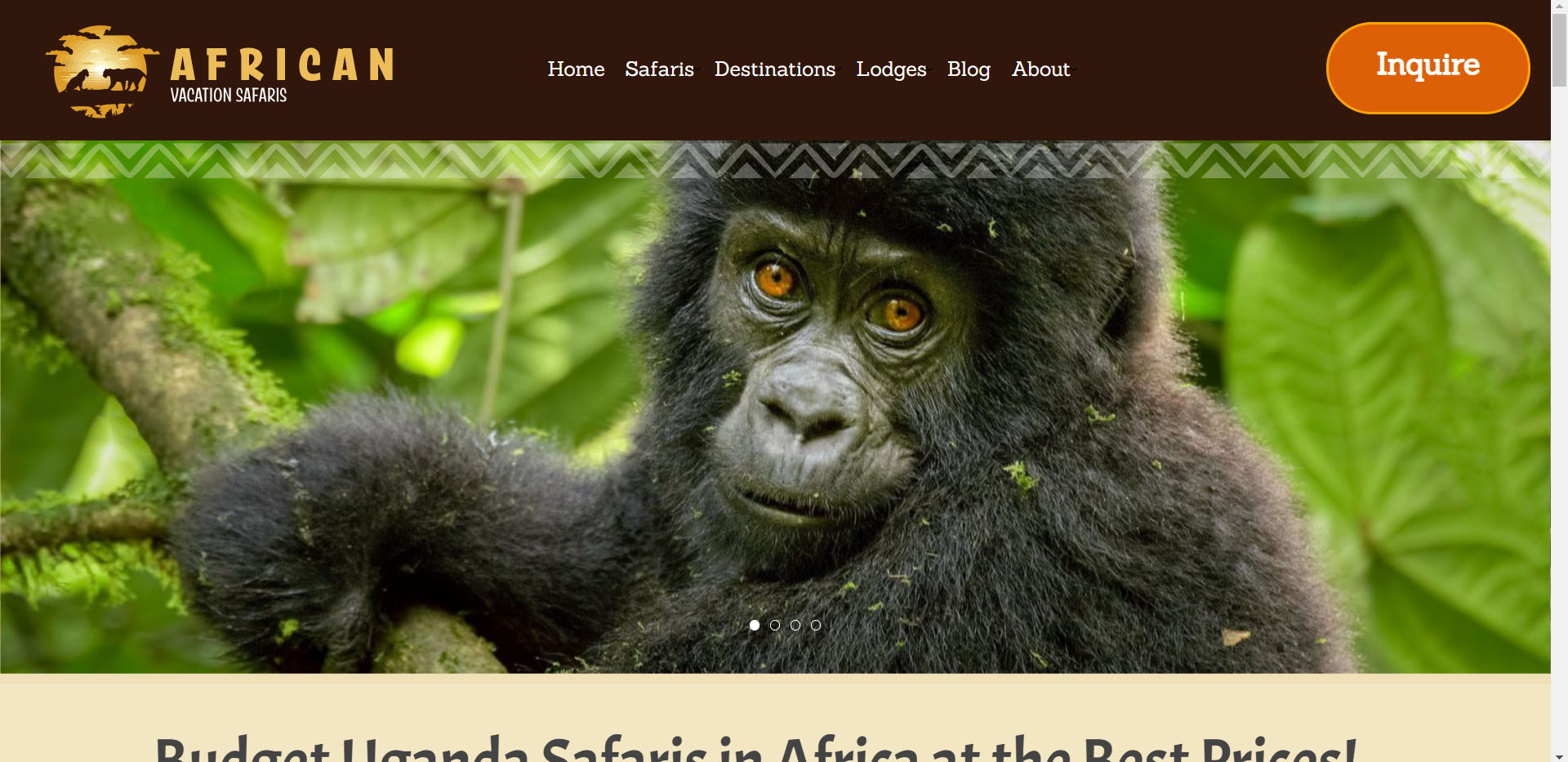 Africa Vacation Safaris