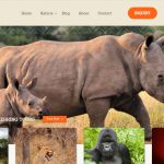 Roots Tours & Travel